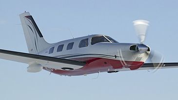 Piper_400x263